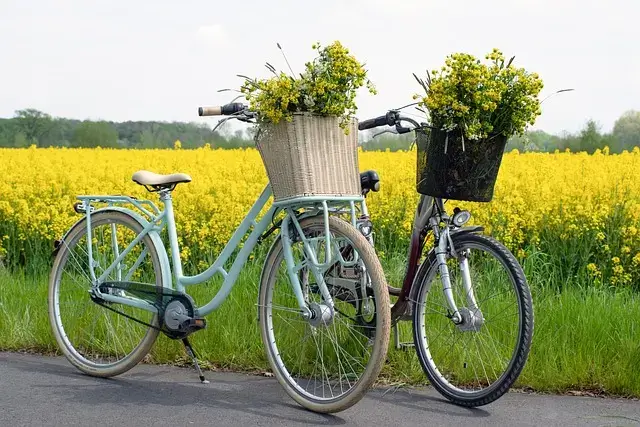 Deux vélos sur un chemin avec des paniers remplis de fleurs